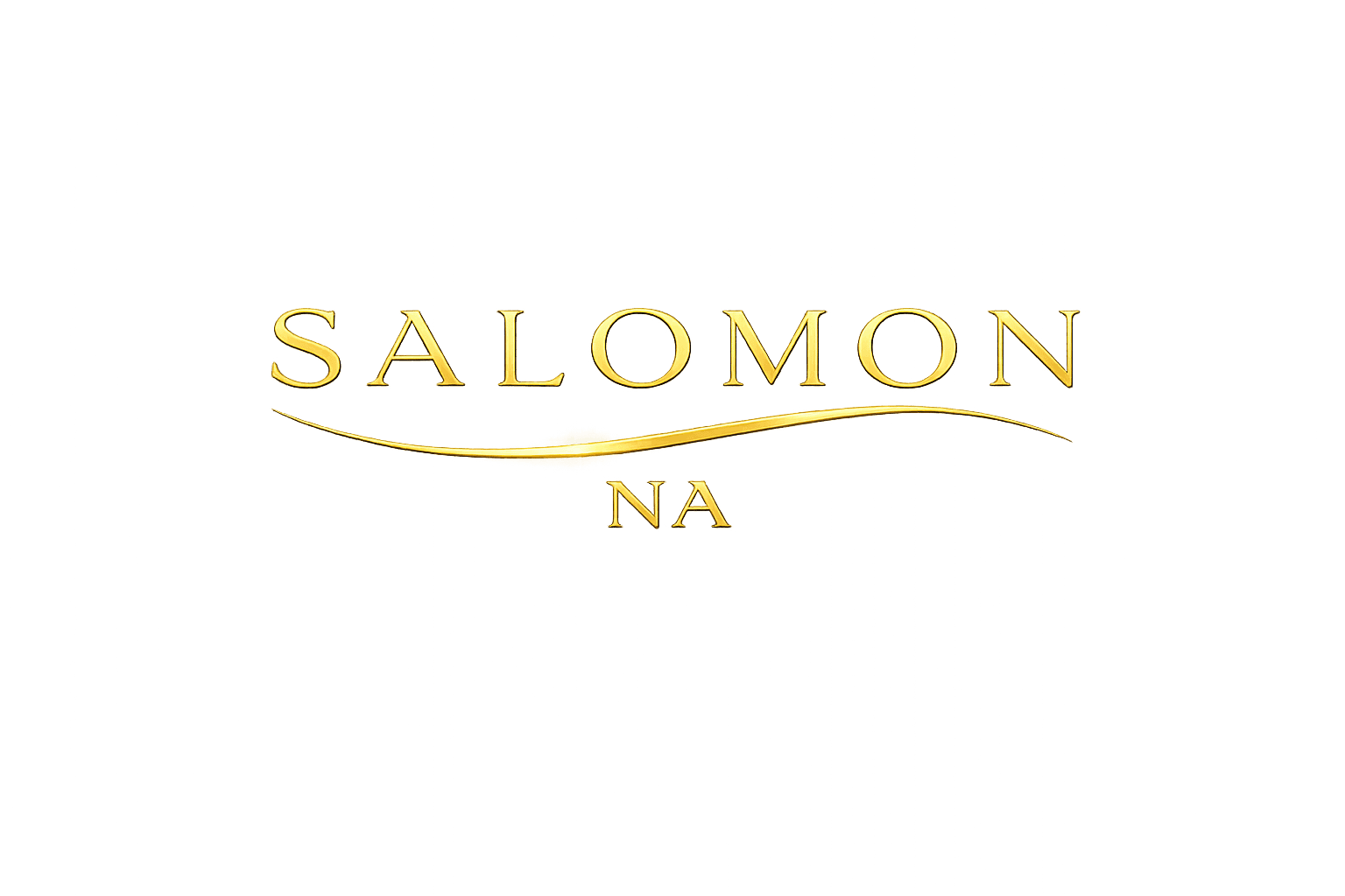 SALOMON NA